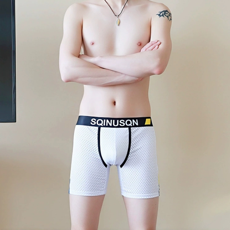 Boxer da Uomo in Seta Ghiaccio - Mesh Sport Boxer recensione e prezzo