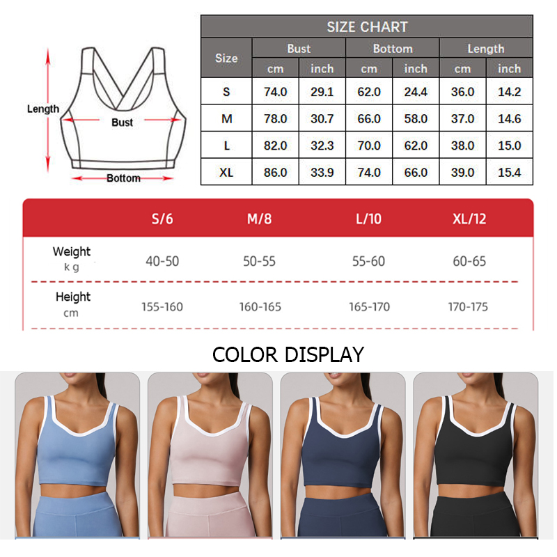 Reggiseno Sportivo ad Alto Imp - Quick Dry Underwear recensione e prezzo